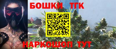 сатива Славгород