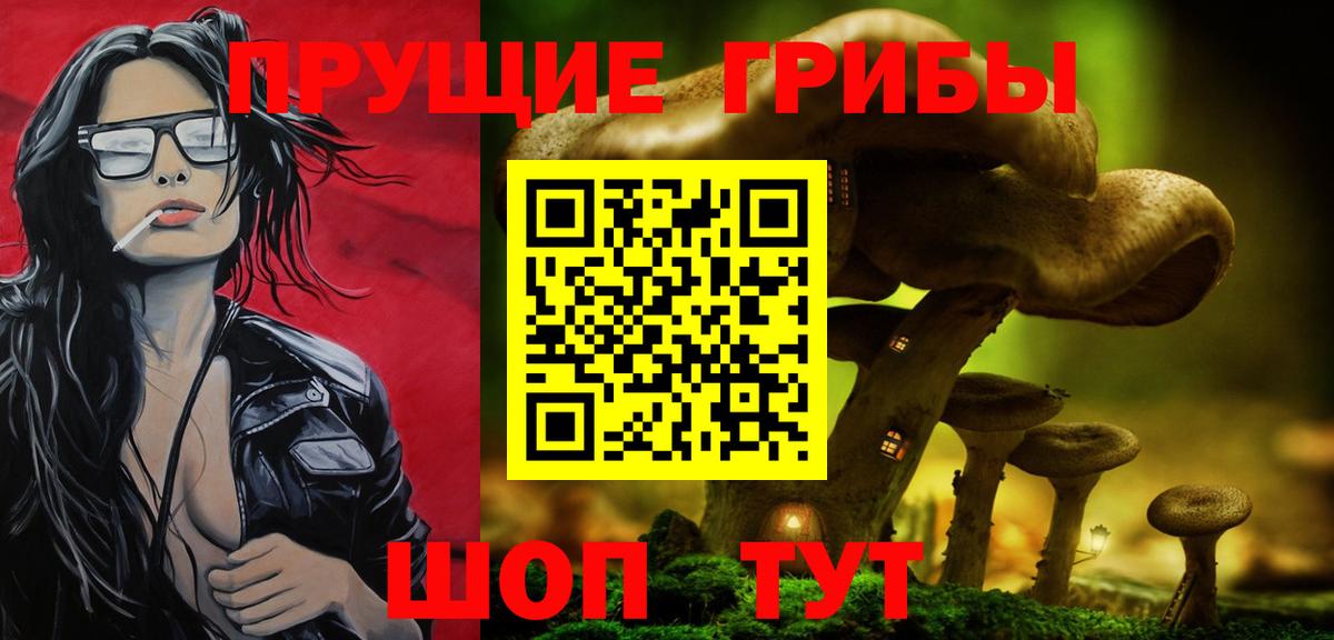 Назрань  Псилоцибиновые грибы Psilocybe  Вход с VPN 